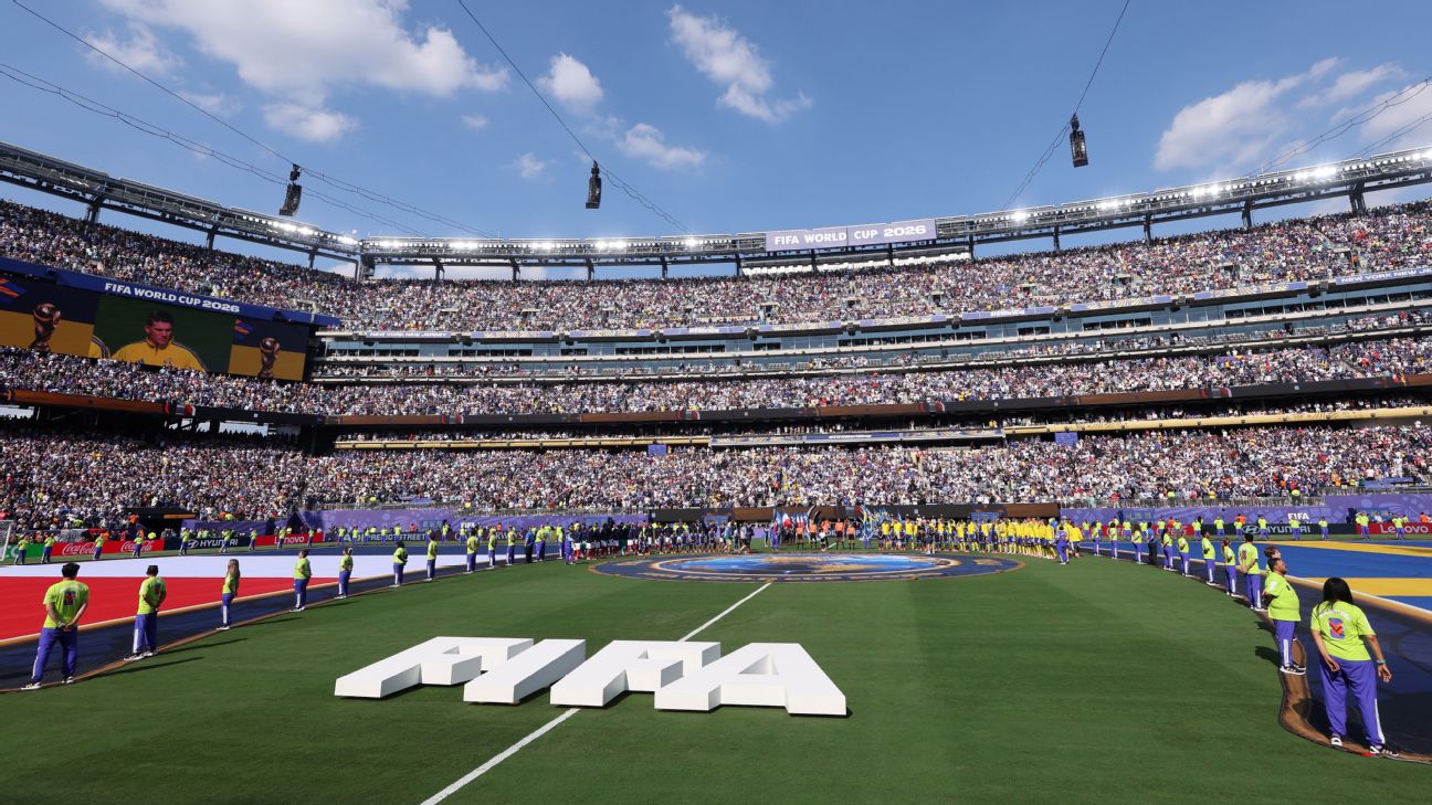 FIFA售卖2026世界杯决赛球场草皮 单片450美元
